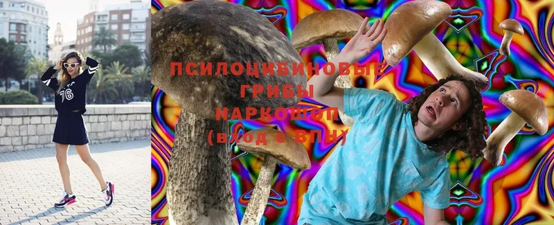 Галлюциногенные грибы Magic Shrooms  где купить наркоту  Сарапул 